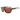Gator